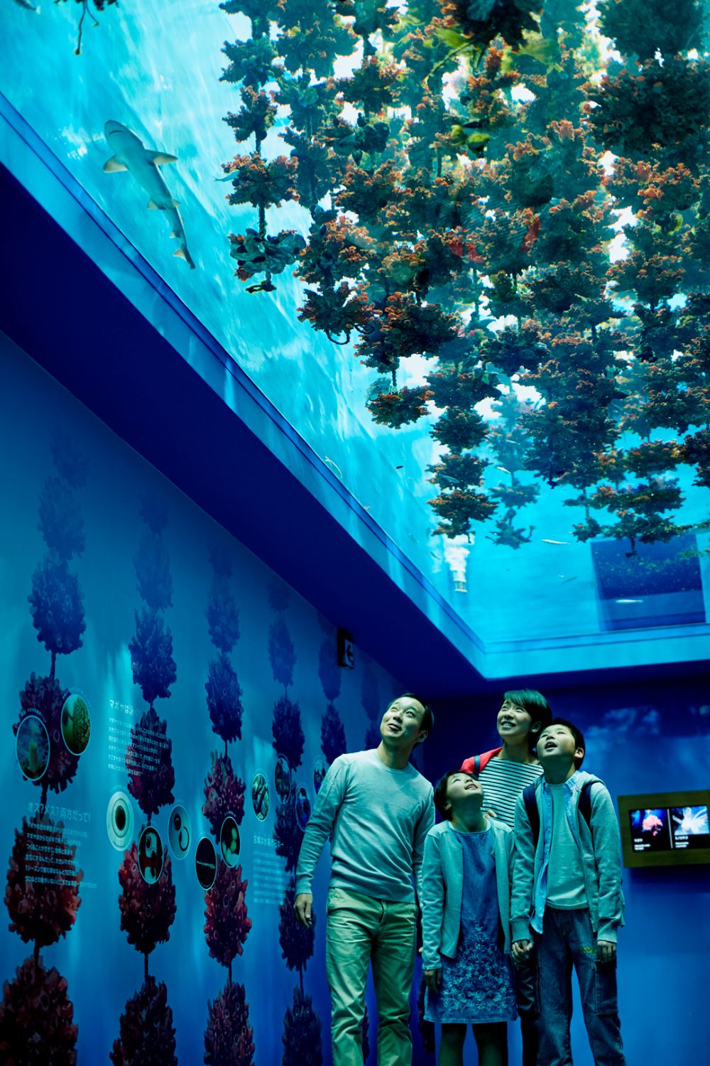 宮城 県 の 水族館